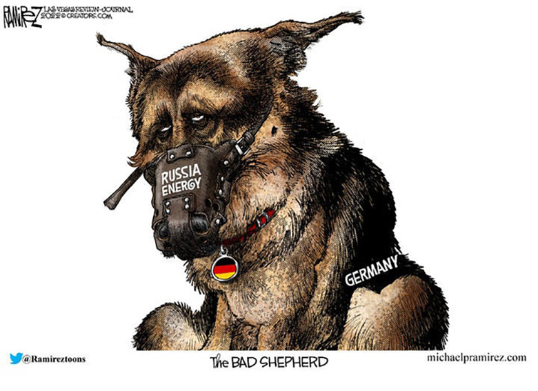 german shepherd | Fitzpatrick Informer